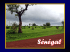 texte - montaiguvendee.fr