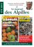 &Eacute;t&eacute; 2015