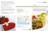 Culinary know how creativity. Savoir faire culinaire