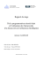 Rapport de Stage - Antoine Gamelin