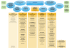 Organigramme du Conseil départemental de l`Orne