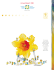 Rapport anglais 2001 - Canadian Cancer Society