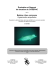 &Eacute;valuation et Rapport de situation du COSEPAC sur la baleine &agrave;