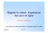 Réguler le virtuel - Cert-IST