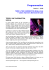Programmation - AquitaineOnLine