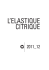 L`ELASTIQUE CITRIQUE