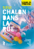 presse - Chalon dans la rue