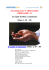 EVANGILE DU 5&deg; DIMANCHE ORDINAIRE