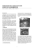 Ameloblastome du sinus maxillaire. A propos d`une observation