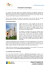 L`ÉGLISE SAINT-MICHEL ET SON COUVENT