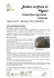 BSV n°13 - FREDON Lorraine