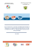 Evaluation de la chaine d`approvisionnement des m&eacute;dicaments en