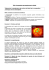 TP5: Composition et température du Soleil Déterminer la