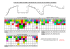 PLAN des VOIES du MUR d` ESCALADE de la HALLE du POLYGONE