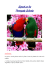 Exposé sur les Perroquets Eclectus