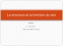 La structure et la fonction du rein