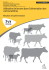 Utilisation de levures dans l`alimentation des vaches laitières