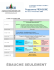 Programme provisoire