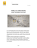 Dossier de Presse - media.renault.com