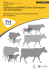 Utilisation du BOVIMALT dans l`alimentation des vaches laitières