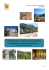 Extrait du mini-guide Outils Collectifs