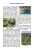 Exploration du golet du Groin491.1 KB