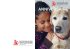 L`Association Chiens de Th&eacute;rapie Suisse a 15 ans