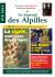 &Eacute;t&eacute; 2013