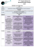 Téléchargez le programme en pdf