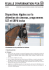 Feuille d`information: Protection des animaux dans le sport equistre