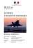 Rapport du BEAD