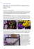 Une fleuriste de Montreuil adepte des fleurs Made in