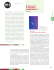 À quoi sert le système endothéline