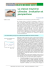 La classe moyenne chinoise : Evaluation et perspectives