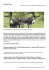 Exporter l`article en PDF