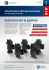 Extension de la gamme - MS Motorservice International