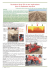 Technique Strip-Till et ses implications pour la betterave - CRA-W