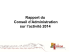 extraits rapport d`activite 2014