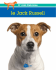 le Jack Russell