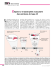 Calpaïne 3 et dystrophie musculaire des ceintures de type 2A