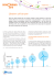 L`éolien offshore - Actu Environnement
