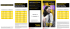 western union money transfer