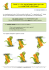 TRANSFORMATIONS DU PLAN