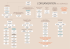 ORGANIGRAMME_OK copie