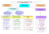 ORGANIGRAMME DE LA PREFECTURE DE L`YONNE Standard
