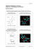 Logiciels appliqués en sciences Chapitre 3 : ChemSketch et 3D