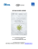 les mauvaises herbes_dp fr