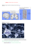 Activité 3 : Le système nerveux vu au microscope. Document