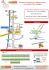 Plan d`accès à l`UTC de Compiègne Centre de Transfert Colloque