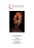 2014/2015-Dossier de Presse - Orchestre Régional de Cannes